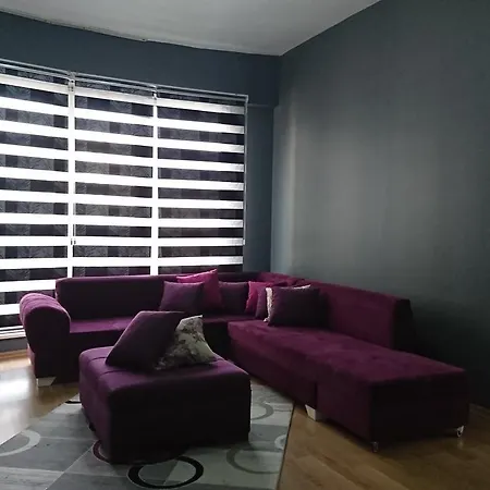 Concept Home&suit *